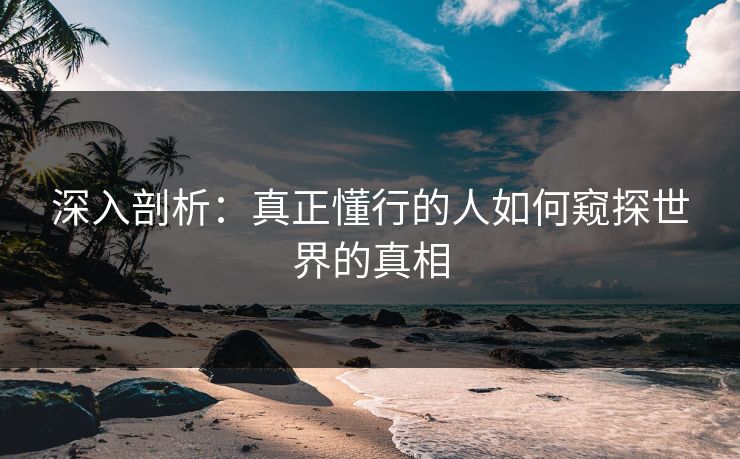 深入剖析：真正懂行的人如何窥探世界的真相