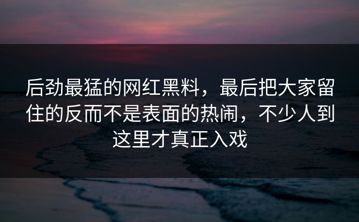 后劲最猛的网红黑料，最后把大家留住的反而不是表面的热闹，不少人到这里才真正入戏