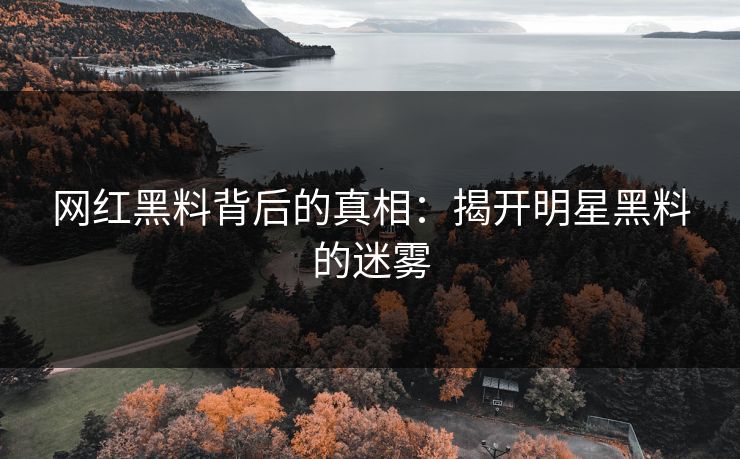 网红黑料背后的真相：揭开明星黑料的迷雾