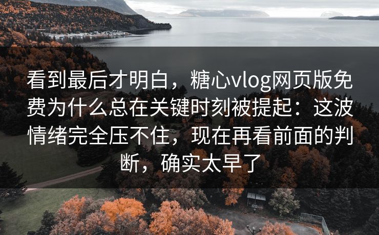 看到最后才明白，糖心vlog网页版免费为什么总在关键时刻被提起：这波情绪完全压不住，现在再看前面的判断，确实太早了