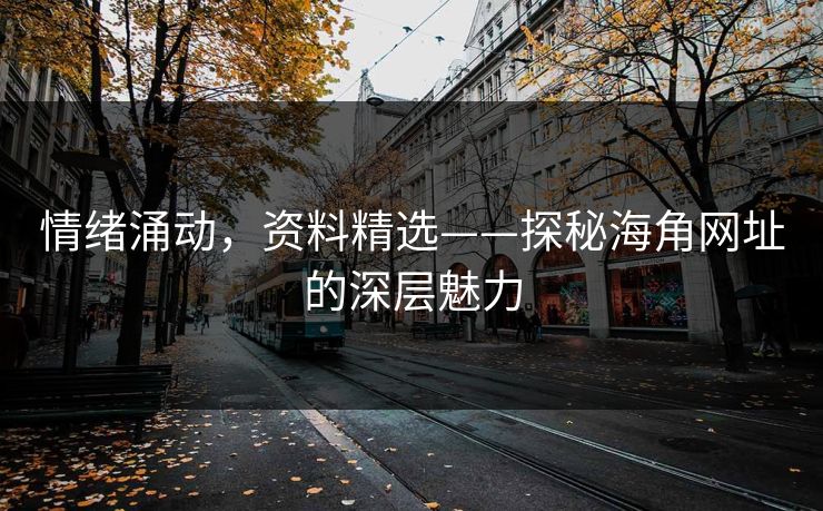 情绪涌动，资料精选——探秘海角网址的深层魅力