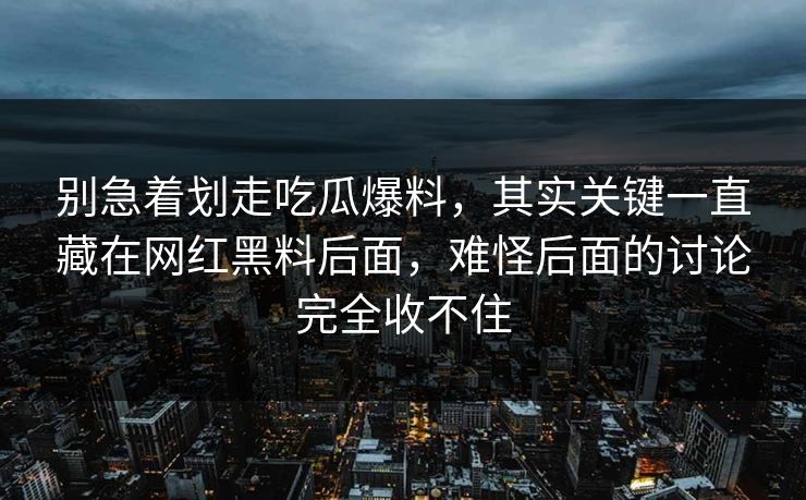 别急着划走吃瓜爆料，其实关键一直藏在网红黑料后面，难怪后面的讨论完全收不住
