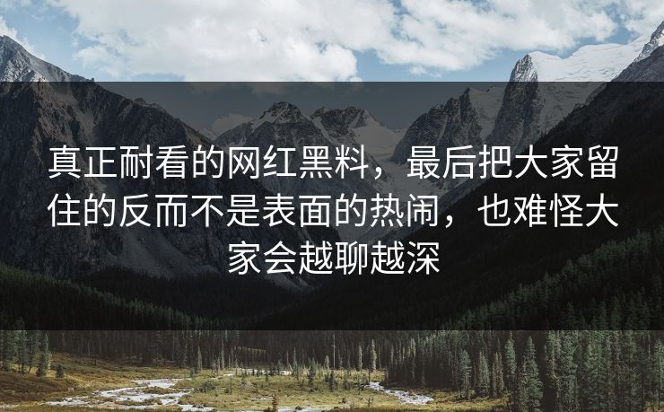 真正耐看的网红黑料，最后把大家留住的反而不是表面的热闹，也难怪大家会越聊越深